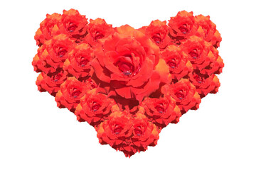 Heart form Rose to Valentine Day with copy space