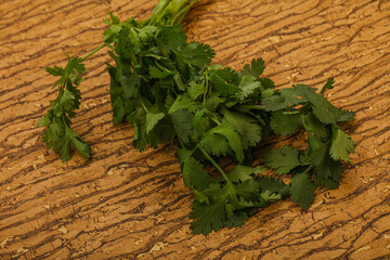 Green coriander or cilanto leaves heap