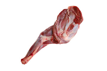 Raw doe shoulder chuck © boomeart