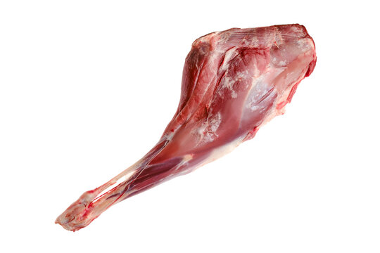 Raw hind quarter of deer leg
