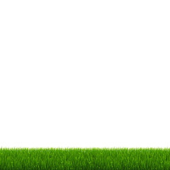 Green Grass And White Background, Vector Illustration