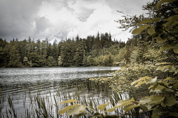 Landschaftsaufnahme von einem kleinen Bergsee in den Alpen 