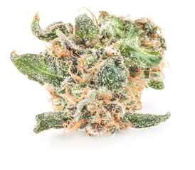 Medical marijuana flower with trichomes and orange hairs and leaves