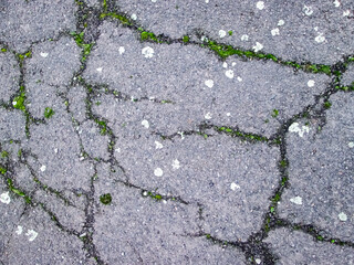 Broken asphalt with sprouted grass. Cracks in the road surface. The texture of the destroyed old...