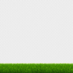 Green Grass And Transparent Background, Vector Illustration