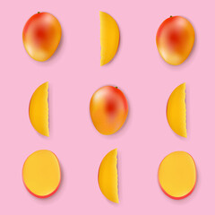 Mango Isolated Pink Background With Gradient Mesh, Vector Illustration