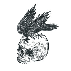 Raven on a skull. Vector illustration.