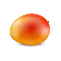 Mango Isolated White Background With Gradient Mesh, Vector Illustration