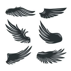 Collection of wings isolated on white. Vector illustration.