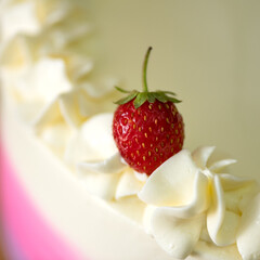 Red strawberries on the cream of the cake. Close-up of the strawberries on the cake. red berry on light cream.