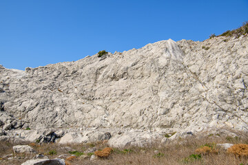 白崎海洋公園　岩