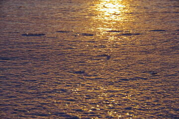 Fototapeta premium 朝陽に輝く氷に覆われた湖の表面。