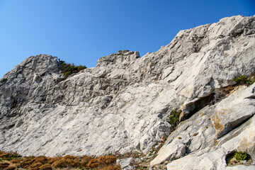 白崎海洋公園　岩