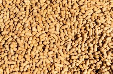 Delicious stir-fried peanuts in the shell background or texture. Popular snacks.