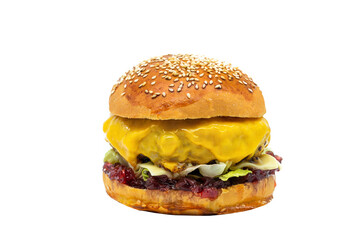 Fresh delicious burger, isolated on white background