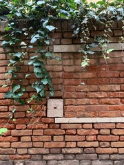 Muri veneziani
