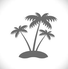 coconut palm tree