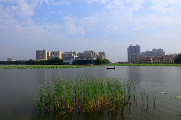 Naklejka premium Waterfront city scenery, North China