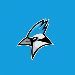 blue jay bird color head mascot logo icon designs vector illustration
