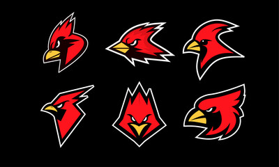 set collection cardinal bird red logo with black background icon design vector illustration