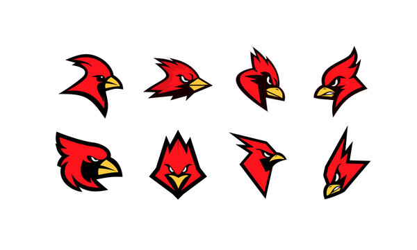 set collection cardinal bird red logo with black background icon design vector illustration