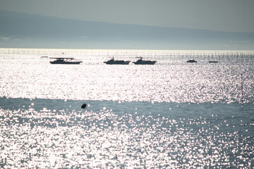 Fishing boat and the sea shining in the sun