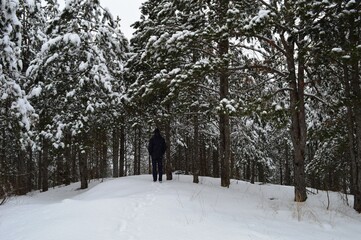 a man in the woods in the winter on the snow