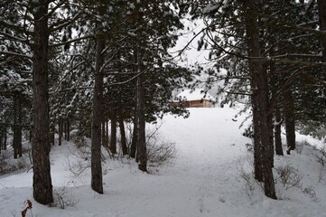 a small wooden house on the mountain in the snow in winter