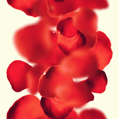 Roses petals seamless pattern