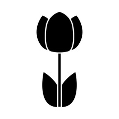 Spring Flower Icon