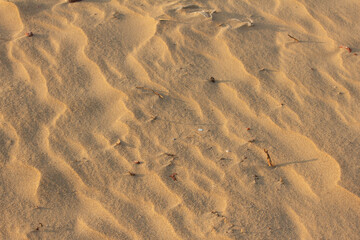 View of fine beach sand with wave design caused by wind, Chennai, India