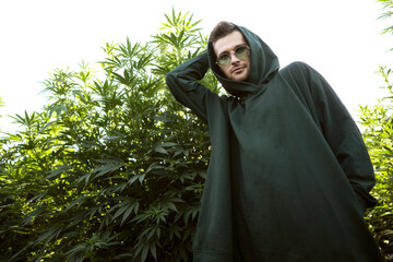 fashion guy in green clothes posing on the hemp field, marijuana legalization concept