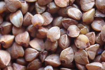 lots of buckwheat seeds at close range