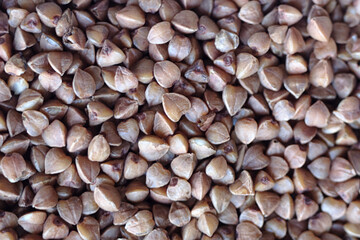 lots of buckwheat seeds at close range