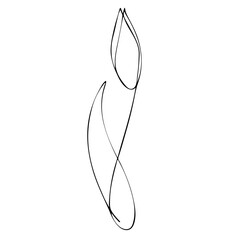 Minimalistic drawing of a Tulip flower. Vector illustration in line art style