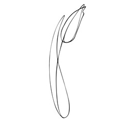 Line art tulip. Spring flower drawn with one line. Vector illustration.