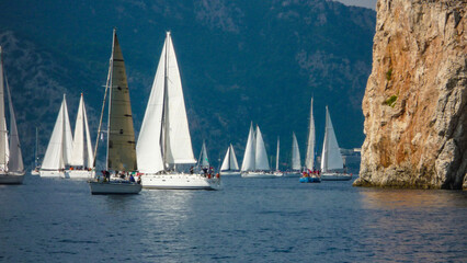 Fototapeta premium sail boat yacht in race regatta with mountain background