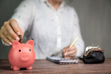 Obraz na płótnie Canvas Female business woman doing administration, counting and saving money with pink piggy bank, business, savings,tax,financial concept background