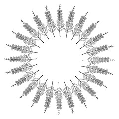 snapdragon frame border set