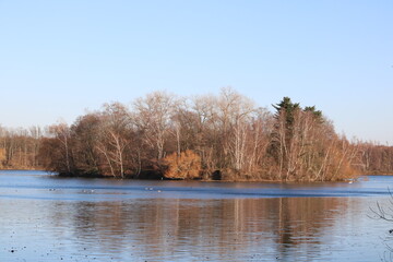 Insel im Unterbacher See unter blauem Himmel  im Winter