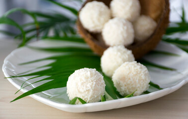 Homemade white chocolate candies in coconut flakes in nut shell on white plate with green palm leaf. Easy recipe of tasty dessert of pralines truffles bliss balls with cream. Sweet healthy nutrition.