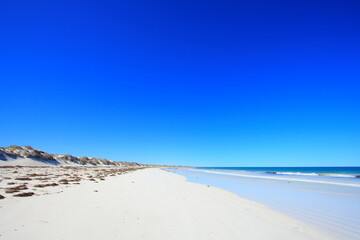 Fototapeta na wymiar Pristine white beach in Australia