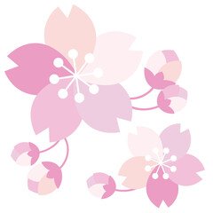 可愛くて綺麗な桜のイラスト