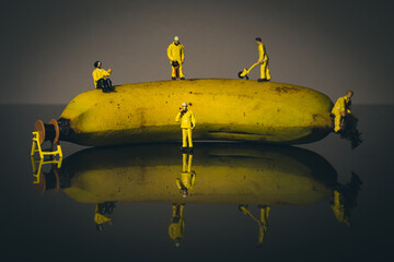 Banana MOT