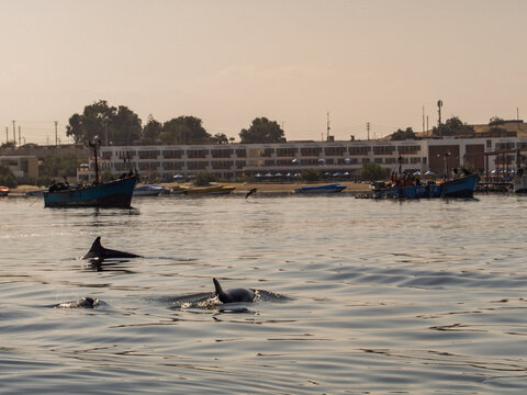 Paracas National Reserve