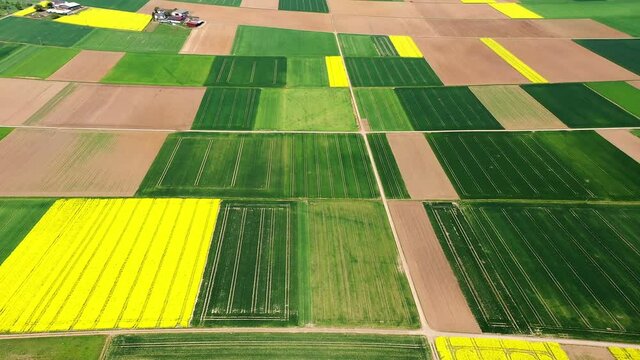 Aerial view, Germany, Hesse, Wetterau, Lich region, Munzenberg, flight at agriculture villages with fields and rapeseed
