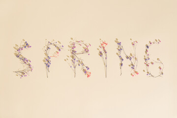 The word spring is written with tiny blooming flowers against sahara colored .Minimal spring and Nature concept.Flat lay.