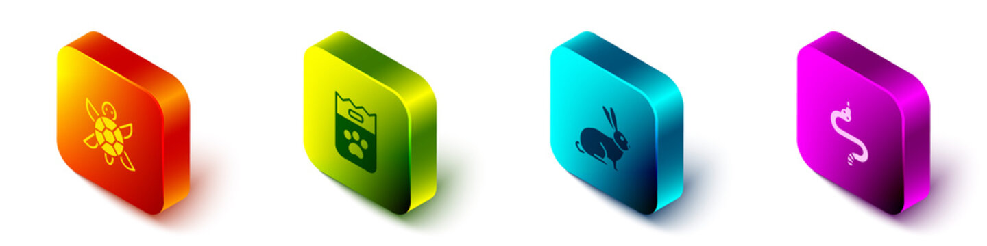 Set Isometric Turtle, Bag of food, Rabbit and Snake icon. Vector.