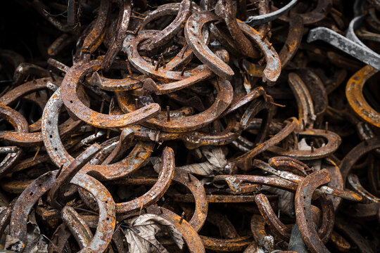 Big pile of large rusty old worn stainless steel silver metal horse shoes and tacks nails removed by farrier and stored in his yard for recycling by blacksmith - Powered by Adobe