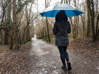 Walking in a forest in a rainy day